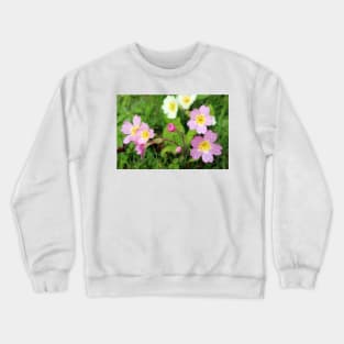 Pink and Yellow Primroses Crewneck Sweatshirt